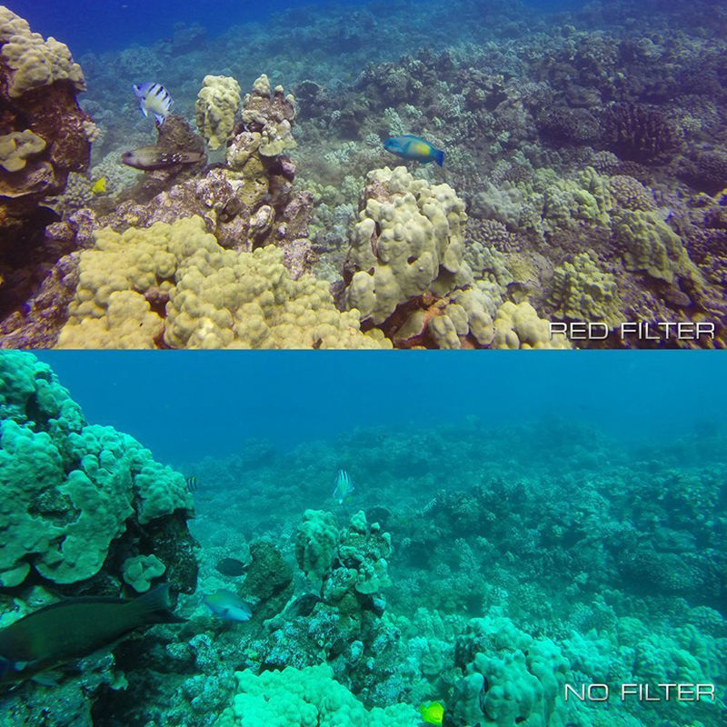 Set 3 buc de Filtru subacvatic pt Gopro Session 4-5